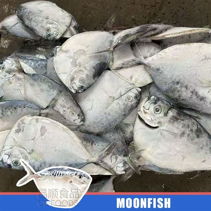 Trawling Seafrozen Moonfish price